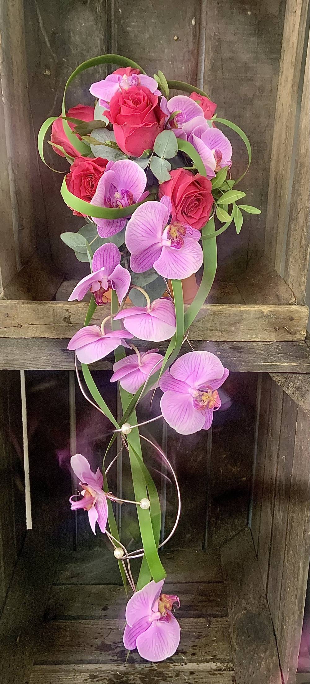 orchidées